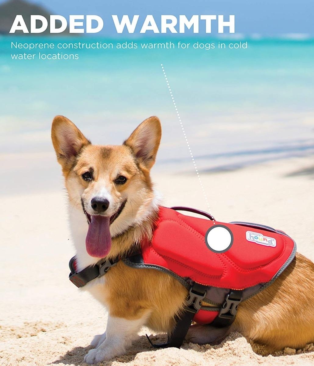 Outward hound dawson hot sale swim life jacket