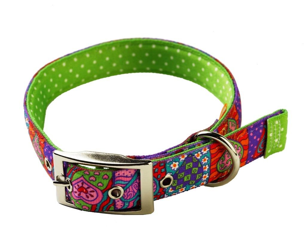Uptown Crazy Hearts on Green Polka Collar | PJ Pet Products